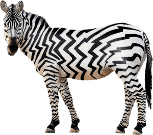 Zebra Png Free Download - Animals All Png, Transparent Png PNG image with transparent background
