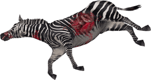 Zebra Png High-quality Image - Dead Zebra Png, Transparent Png PNG image with transparent background