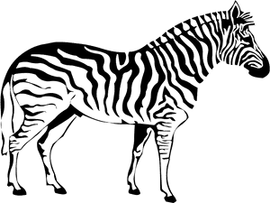 Zebra Png Image - Codigo De Barras Zebra, Transparent Png PNG image with transparent background