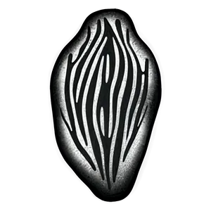 Zebra Print Outline Png Yfq19 PNG Image