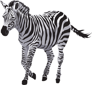 Zebra Running Png - Zebra Animal Png, Transparent Png PNG image with transparent background
