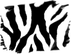 Zebra Stripes - Zebra - Zebra, HD Png Download PNG image with transparent background