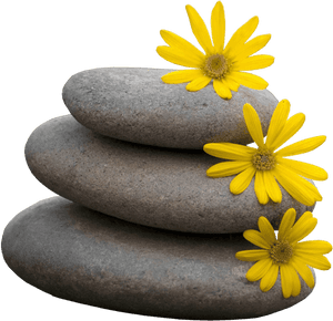 Zen Png Picture - Yellow Flower Wallpaper For Iphone, Transparent Png PNG image with transparent background