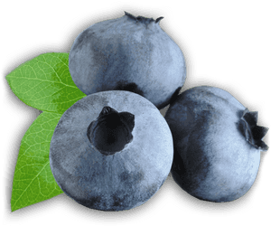 Zoom On Blueberries - Real Life Oran Berry, HD Png Download PNG image with transparent background