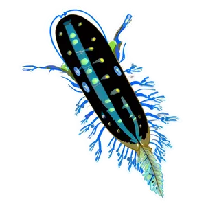 Zooplankton Clipart Png 06292024 PNG Image