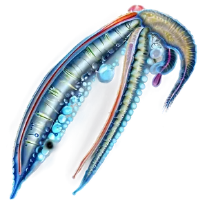 Zooplankton In Marine Biology Png Avv76 PNG Image