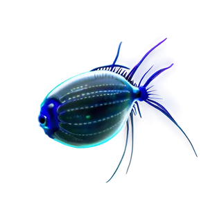 Zooplankton In Marine Biology Png Irg PNG Image