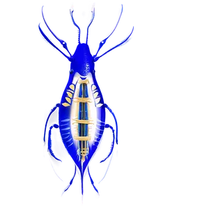 Zooplankton Transparent Background Png Oub47 PNG Image