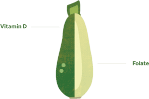 Zucchini , Png Download - รองเท้า เพื่อ สุขภาพ Fitflop, Transparent Png PNG with transparent background